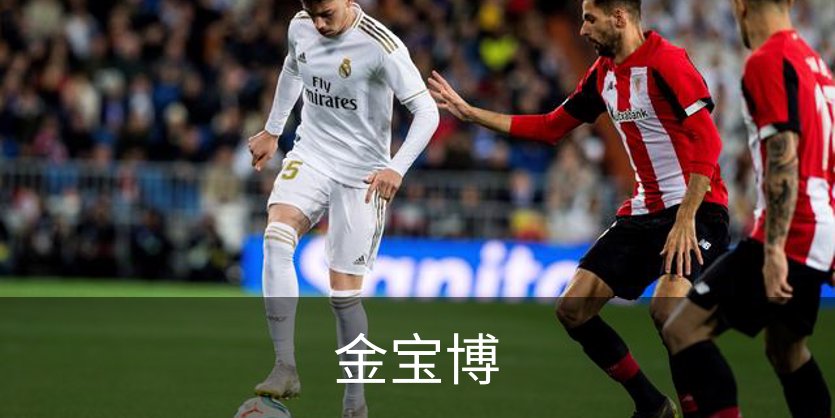 走进金宝博
